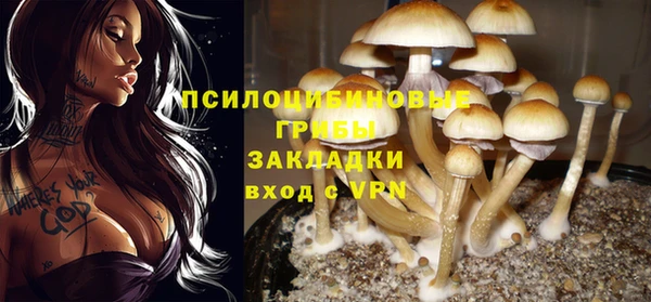 синтетический гашиш Зерноград