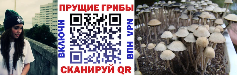 Галлюциногенные грибы мухоморы  Шали 