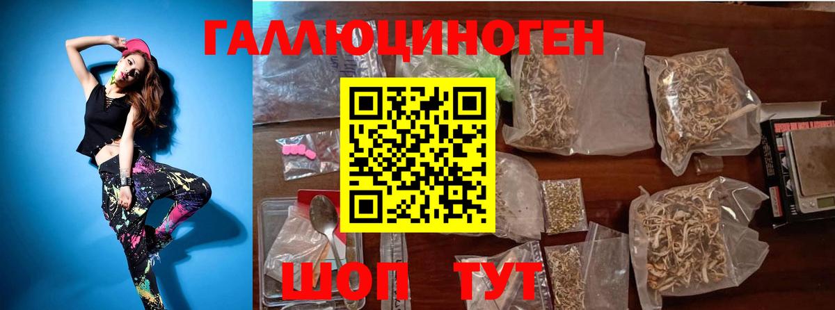 Псилоцибиновые грибы Psilocybine cubensis Шали